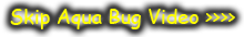 Aqua Bug Family Page